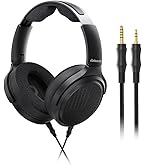 Amazon.com: FiiO FT1 Pro Open-Back Planar Magnetic Wired Hi-Fi